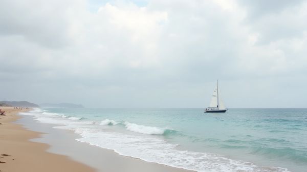 Struggling to get your nie in fuerteventura? Here’s how to apply